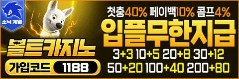 볼트 카지노