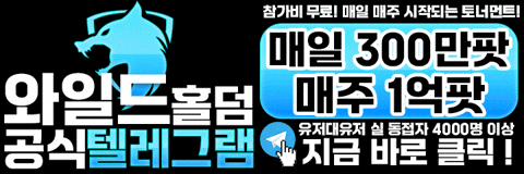 홀덤